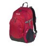 Городской рюкзак Polar П1606 красный (Pl25935)