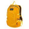 Рюкзак Polar П2171 желтый (Pl26250)