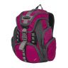 Рюкзак Polar П1507 розовый (Pl26151)