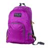 Рюкзак трансформер Polar П2102 фиолетовый (Pl25869)